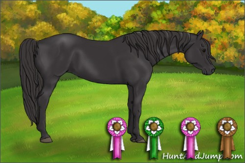 Horse Color: Buckskin 