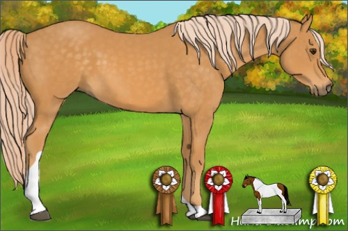 Horse Color: Chocolate Palomino Tobiano 