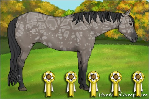 Horse Color: Grullo Ice Rabicano 