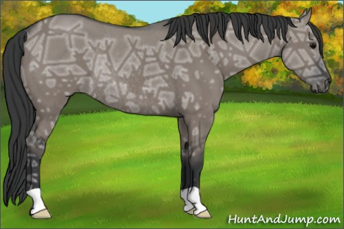 Horse Color: Grullo Ice Rabicano 