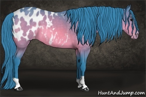 Horse Color: Watercolor Brown Blanket 