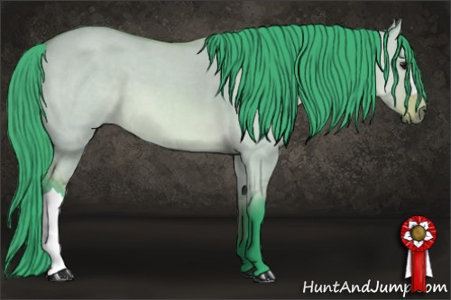 Horse Color: Watercolor Bay Dun 