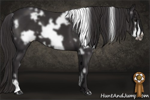 Horse Color: White Spotted Buckskin Frame 