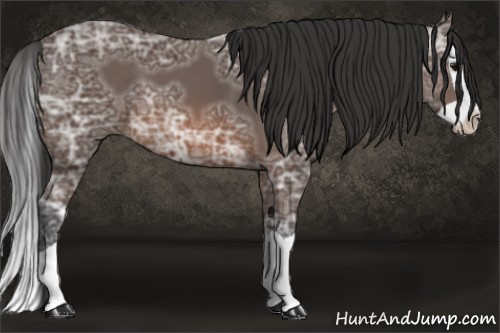 Horse Color: Brown Ice Splash 
