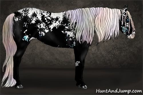 Horse Color: ERROR: UNKNOWN ANOMALY