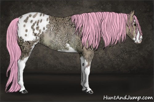 Horse Color: Watercolor Bay Ice Sabino Blanket Rabicano 