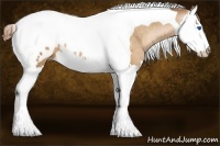 Horse Color:Gray Buckskin Pearl Splash Tobiano Blanket 
