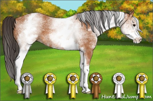 Horse Color: Unknown 