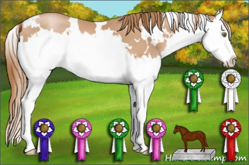 Horse Color: White Spotted Liver Chestnut Pearl Splash 