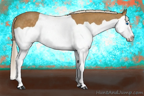 Horse Color: Palomino Splash 