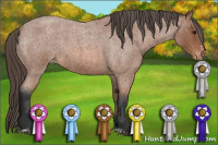 Horse Color:Bay Roan Sabino Blanket 