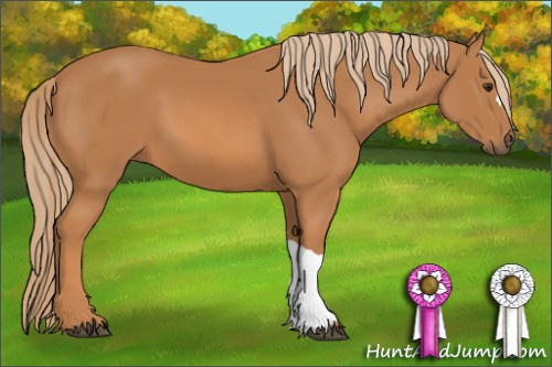 Horse Color: Chestnut 
