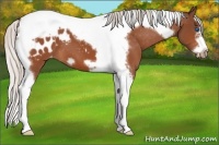 Horse Color:Silver Bay Splash Tobiano Frame Blanket 
