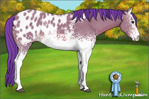 Horse Color: Watercolor White Spotted Bay Blanket 