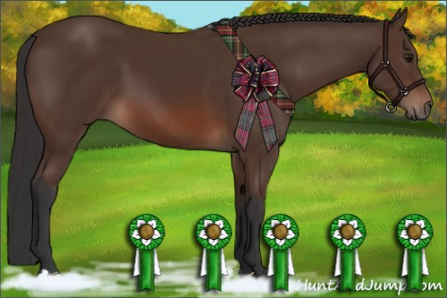 Horse Color: Brown 