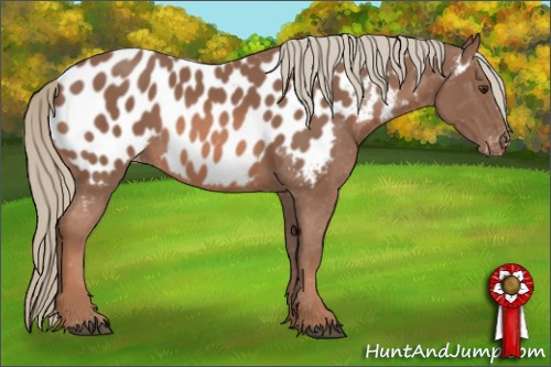 Horse Color: Liver Chestnut Mushroom Near Leopard 
