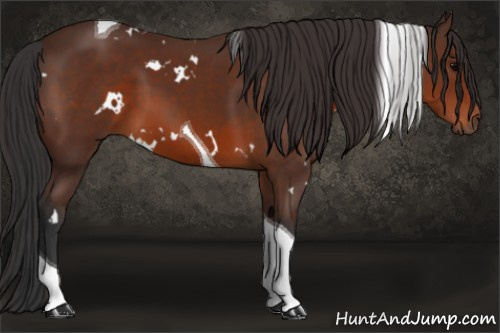 Horse Color: White Spotted Brown Tobiano 
