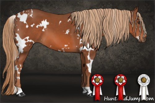 Horse Color: White Spotted Liver Chestnut 