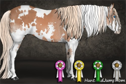 Horse Color: White Spotted Liver Chestnut Splash 