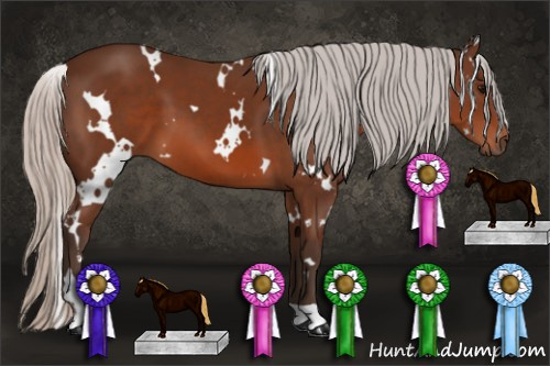 Horse Color: White Spotted Silver Brown 