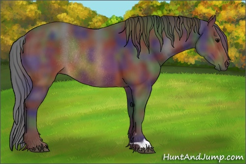 Horse Color: Nacre Brown Rabicano 
