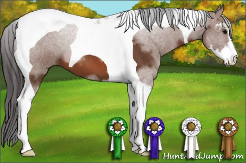 Horse Color: Bay Sabino Tobiano 