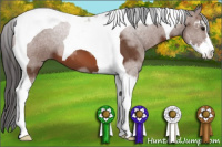 Horse Color:Bay Sabino Tobiano 