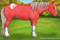 Horse Color:Watercolor Liver Chestnut Appaloosa 