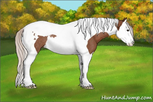 Horse Color: Silver Bay Splash Tobiano Rabicano 