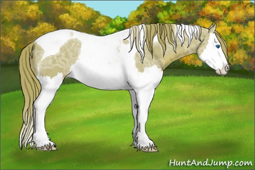 Horse Color: Watercolor Liver Chestnut Ice Splash Tobiano Rabicano 