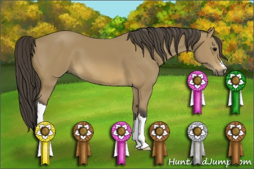 Horse Color: Buckskin 
