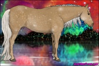 Horse Color:Silver Smoky Black 