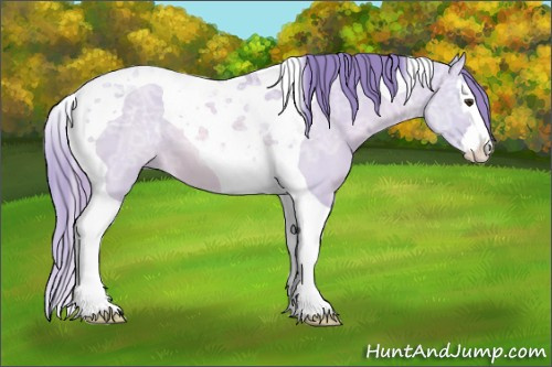 Horse Color: Watercolor Red Dun Ice Splash Tobiano 