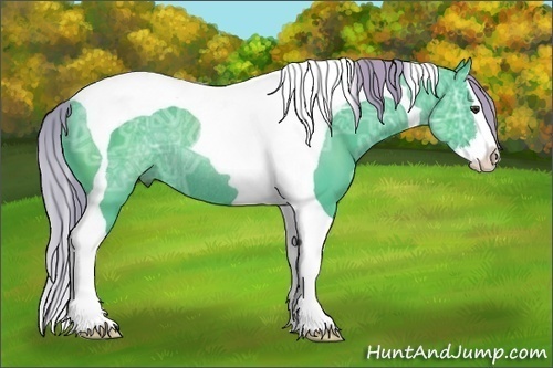 Horse Color: Watercolor Liver Chestnut Ice Sabino Splash Tobiano Rabicano 