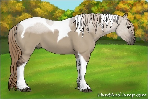Horse Color: Liver Red Dun Tobiano 