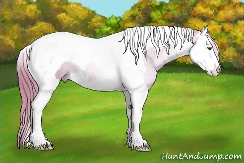 Horse Color: Watercolor Liver Chestnut Pearl Splash Tobiano Rabicano 