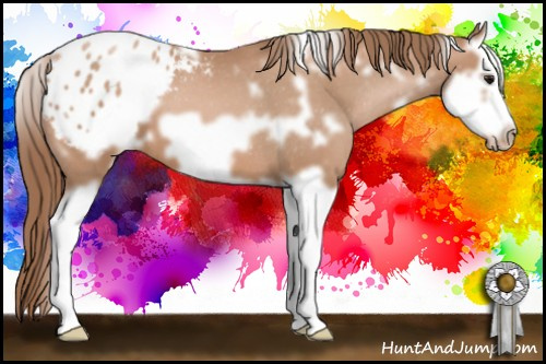 Horse Color: White Spotted Brown Pearl Splash Frame Blanket 