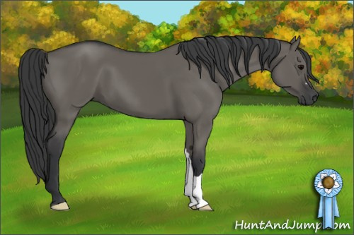 Horse Color: Grullo 