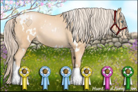 Horse Color:White Spotted Chocolate Palomino Pearl 