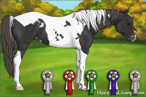 Horse Color: Buckskin Tobiano Snowcap 