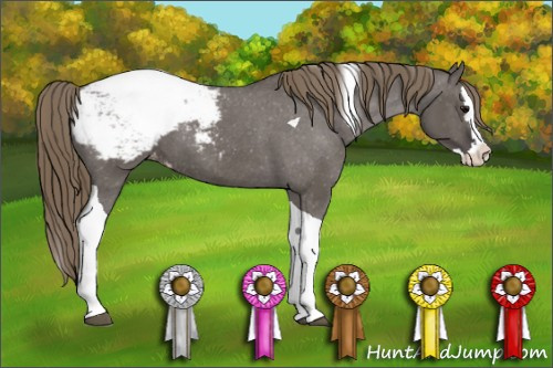 Horse Color: Smoky Grullo Splash Tobiano Snowcap 
