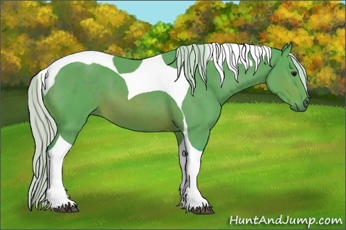 Horse Color: Watercolor Silver Brown Sabino Tobiano 