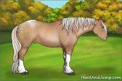 Horse Color: Silver Bay Pearl Tobiano 