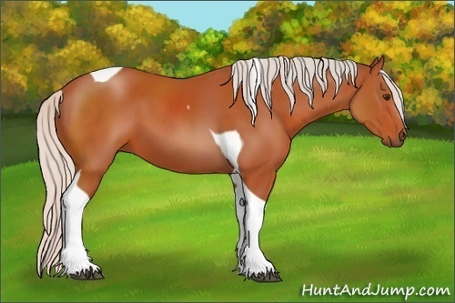 Horse Color: Silver Bay Tobiano 