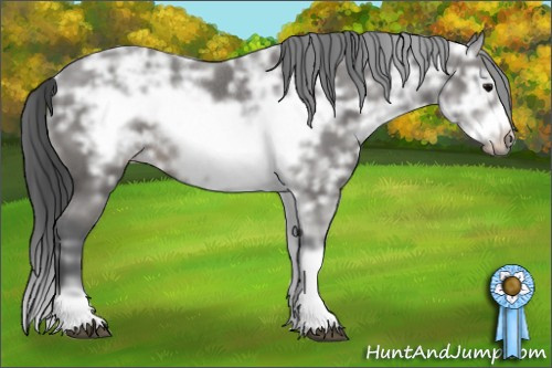 Horse Color: Brown Ice Sabino Frame Rabicano 