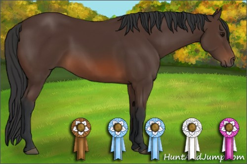 Horse Color: Brown 
