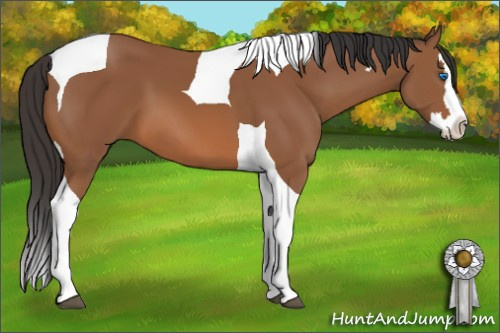Horse Color: Bay Splash Tobiano 