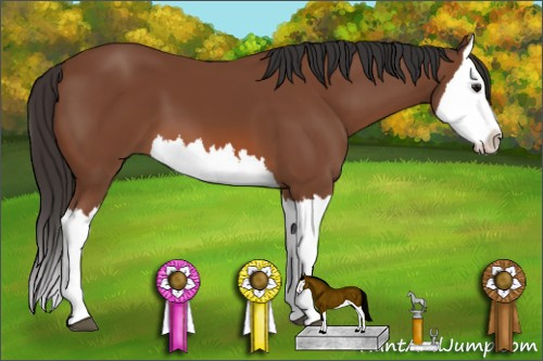 Horse Color: Bay Splash 