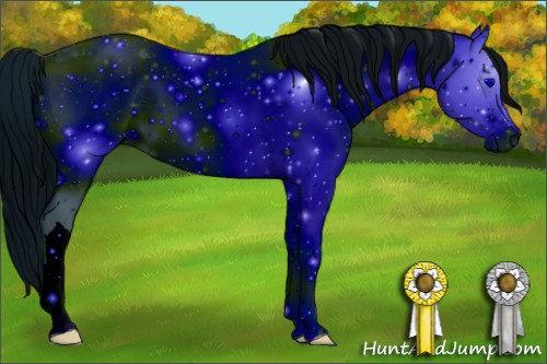 Horse Color: ERROR: UNKNOWN ANOMALY