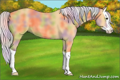 Horse Color: Nacre Silver Buckskin Splash 
